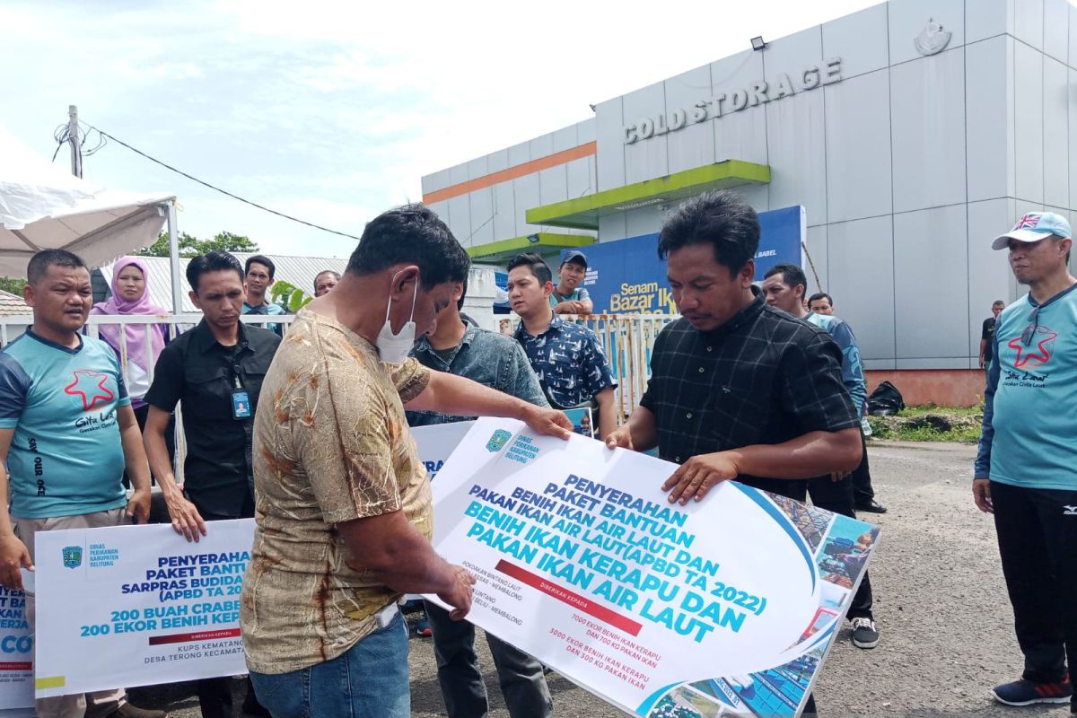 Pemkab Belitung salurkan 10.000 benih ikan kerapu