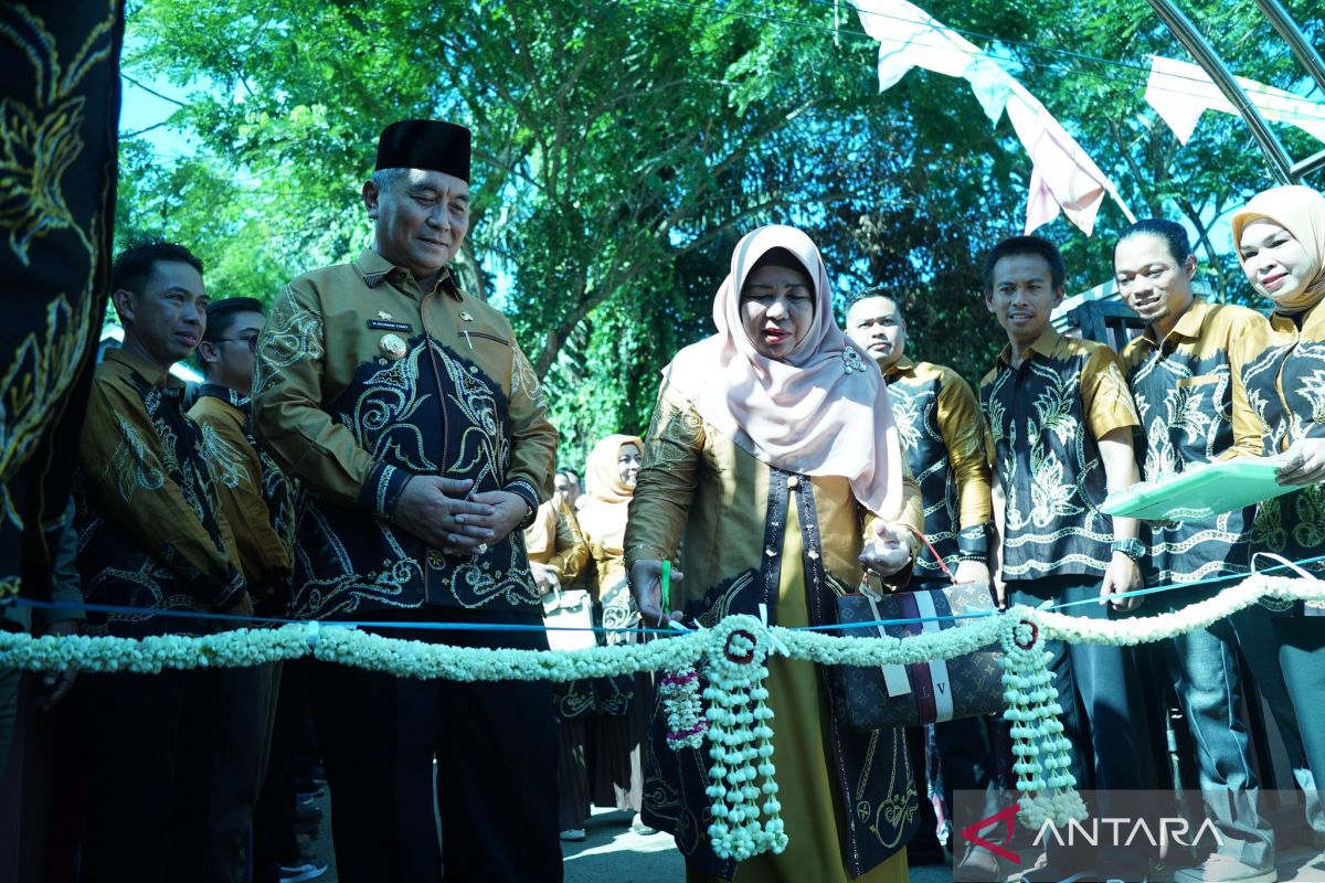Bupati HSS hadiri puncak hari jadi ke-72 Kecamatan Padang Batung