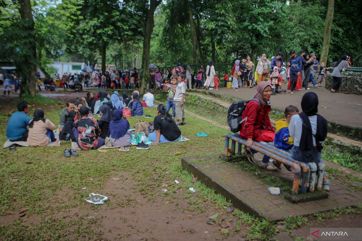 Tiga juta orang kunjungi Taman Margasatwa Ragunan sepanjang 2022