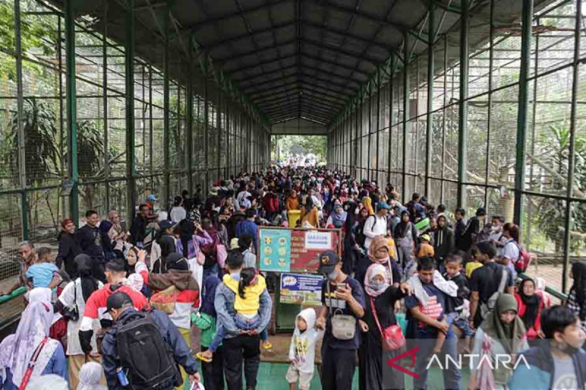 Pengelola: Pengunjung Taman Margasatwa Ragunan capai ribuan saat Imlek