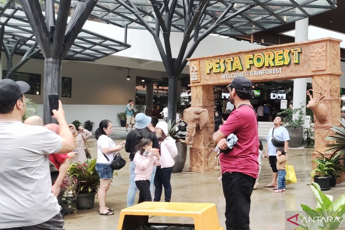 Pengunjung Taman Safari Bogor meningkat hingga 85 persen pada libur Tahun Baru