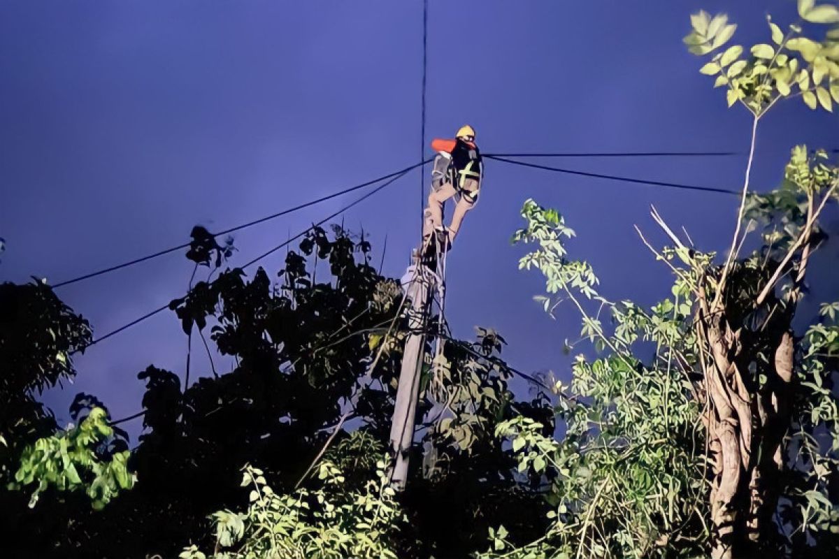 PLN pulihkan enam titik jaringan listrik lumpuh akibat cuaca ekstrem