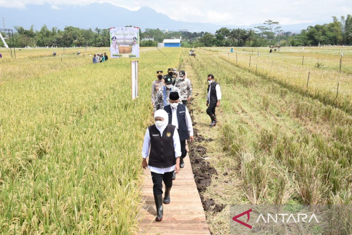 Nilai tukar petani dan nelayan Jatim tembus angka tertinggi