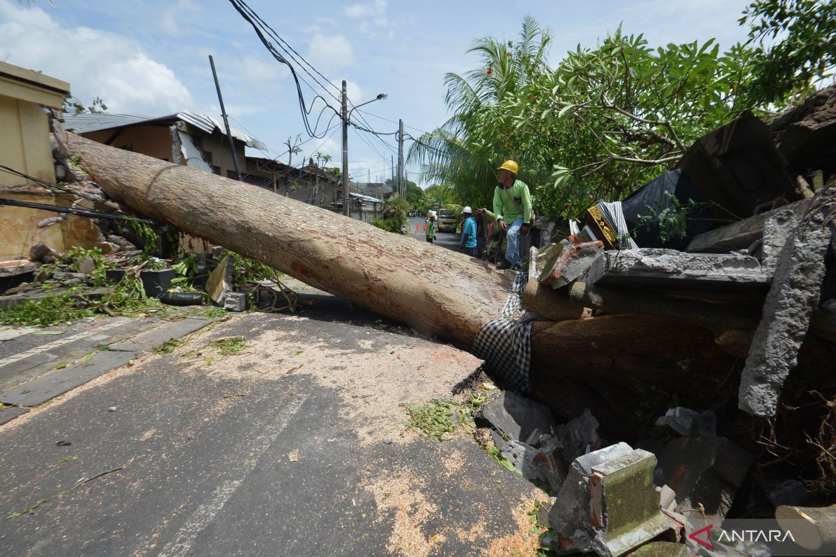 Info BMKG: Angin kencang dan gelombang tinggi di Bali hingga 24 Februari