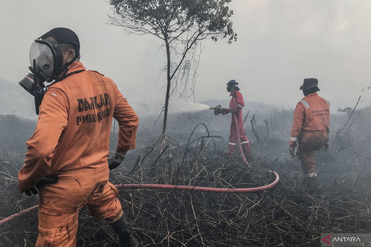 BMKG: Waspadai potensi kebakaran hutan dan lahan di Sumatra