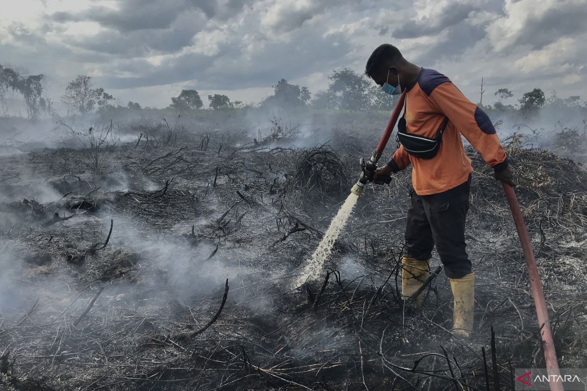 Govt looks to tackle peatland fires with weather modification