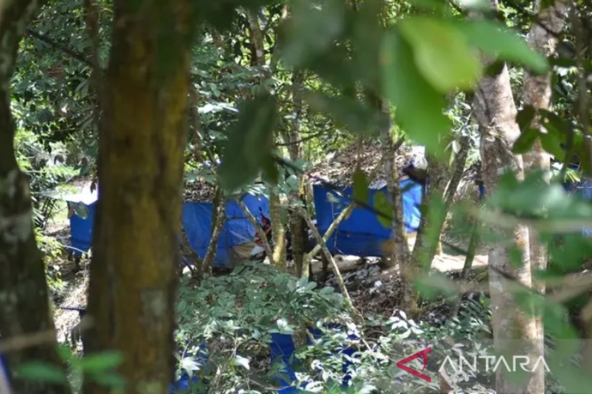 Pemuda Muslimin minta Satpol PP bongkar warung remang - remang Simirik Padang Sidempuan