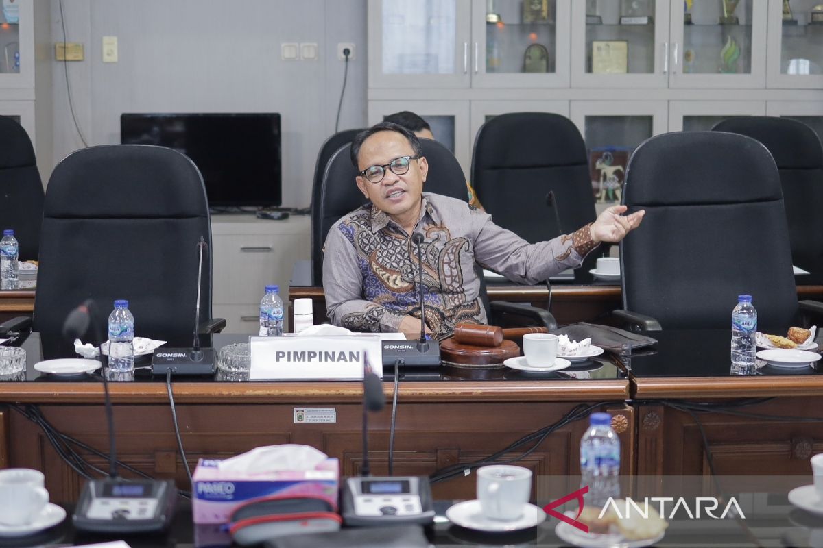 DPRD Kalsel berharap segera mengesahkan Raperda pengembangan ekonomi kreatif