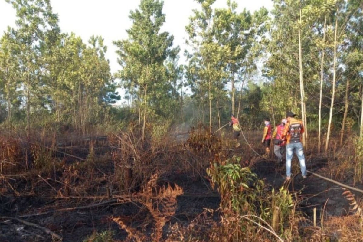 Relawan berjibaku bantu tangani mulai maraknya kebakaran lahan di Sampit