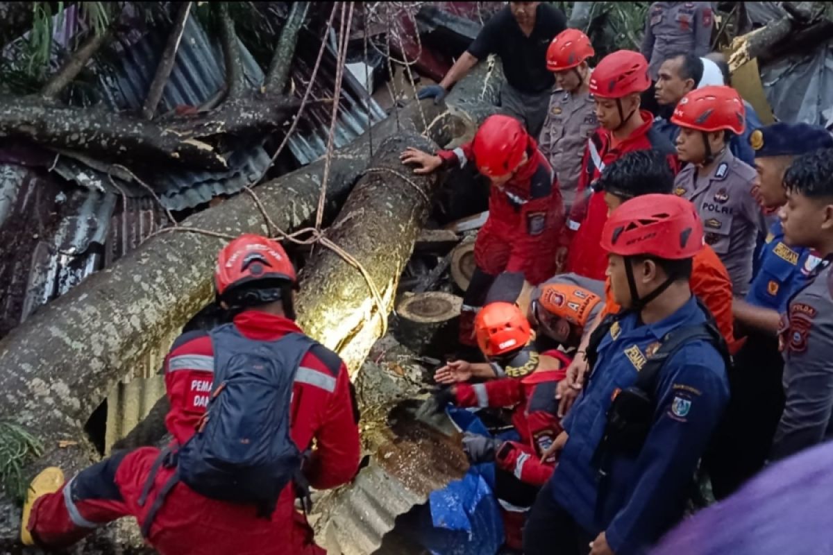 Dua korban tertimpa pohon tumbang di Makassar meninggal dunia