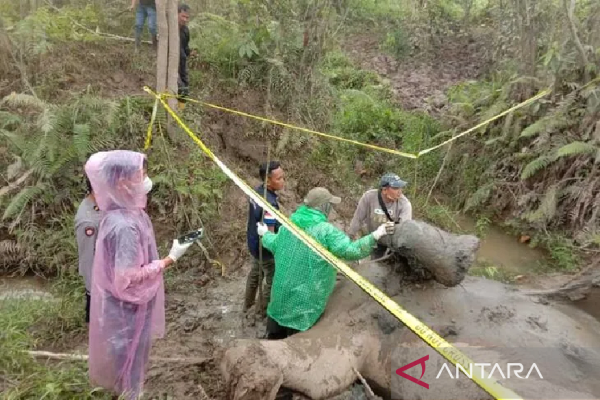 FJL catat ada belasan kasus perburuan dan kematian satwa lindung sepanjang 2022