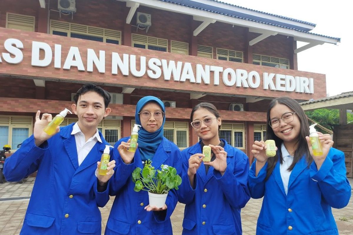 Mahasiswa di Kediri buat sabun mandi organik dari tanaman Pegagan