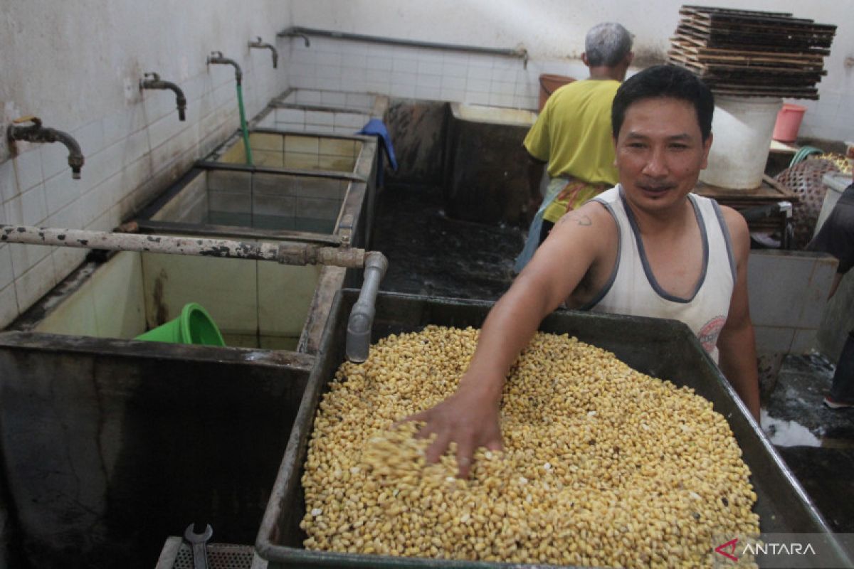 Perajin tahu dan tempe tak perlu risau, Mendag komitmen turunkan harga kedelai jadi Rp11.000-Rp12.000/kg