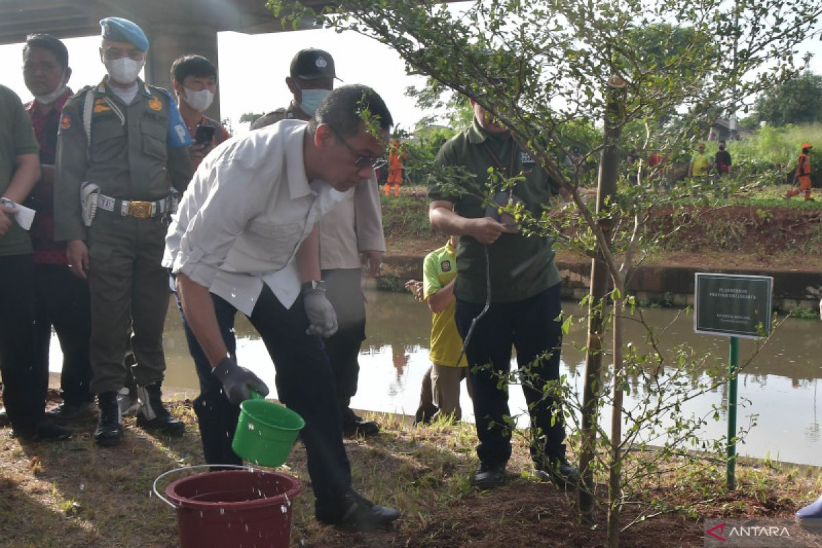 Pemprov DKI Jakarta tanam ribuan pohon di kolong Tol Becakayu