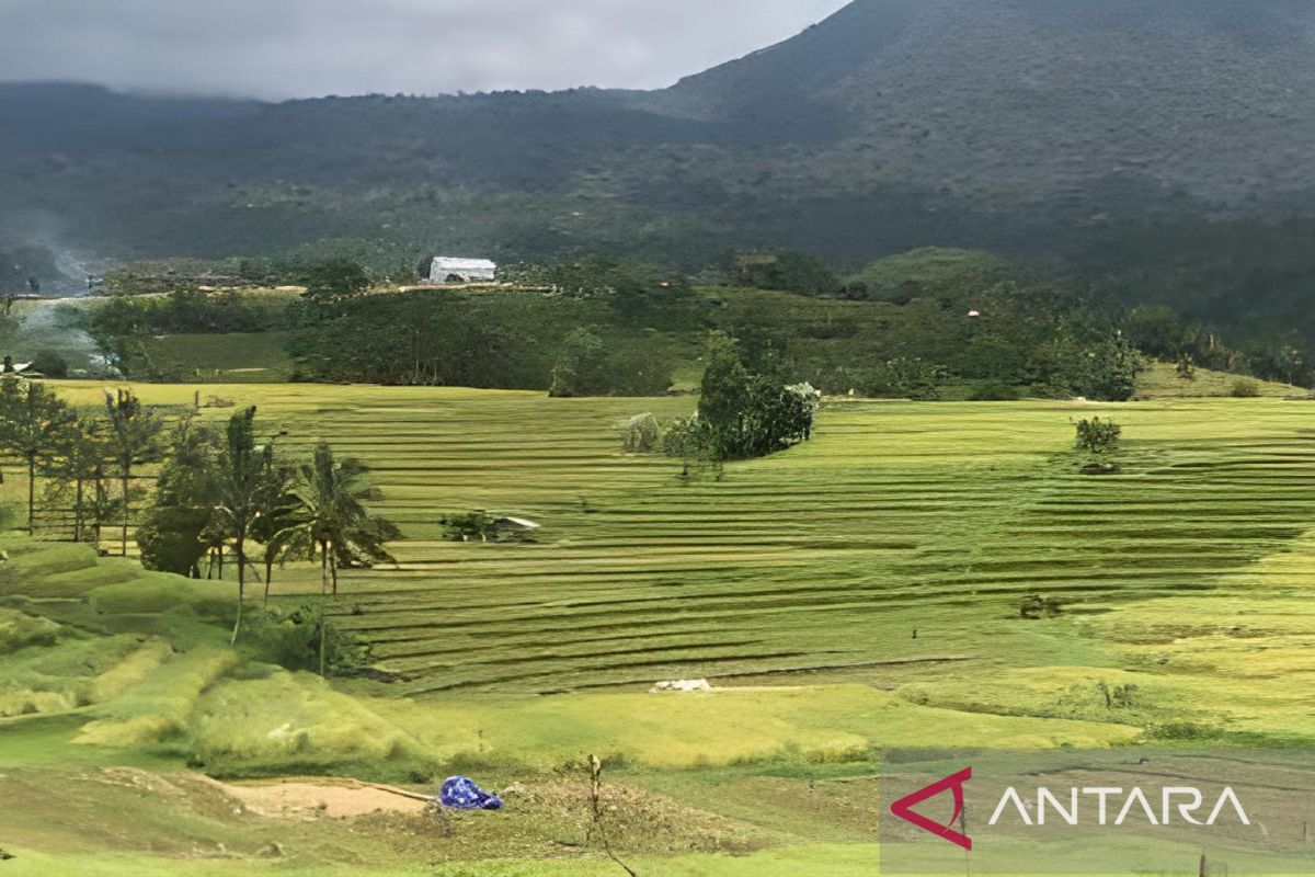 Turis ke Bali mulai cari kegiatan petualangan di desa wisata