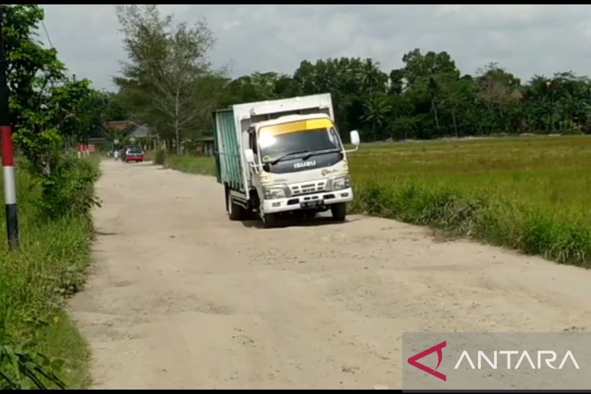 Jalan penghubung kecamatan di Lampung Selatan rusak parah hingga tak beraspal lagi