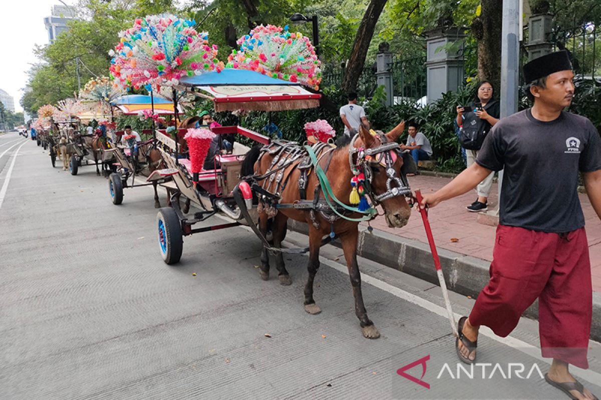 Kusir mengaku tak diajak diskusi soal larangan delman di Monas