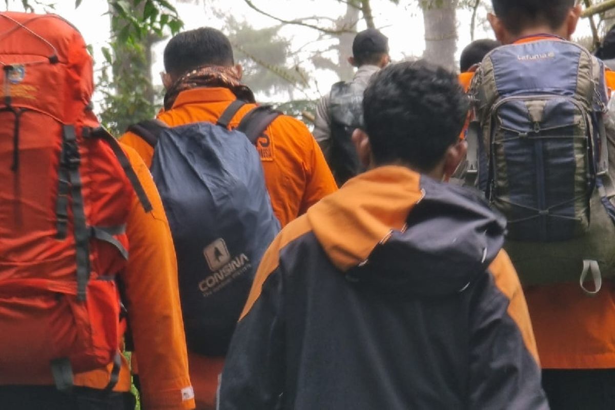 Basarnas: 164 pendaki sudah dievakuasi turun dari Gunung Marapi