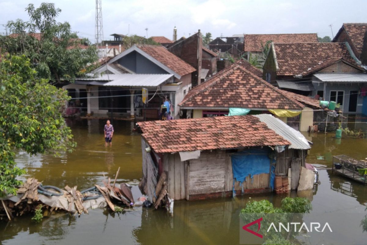 Jumlah warga yang mengungsi akibat banjir di Kudus mencapai 1.128 jiwa