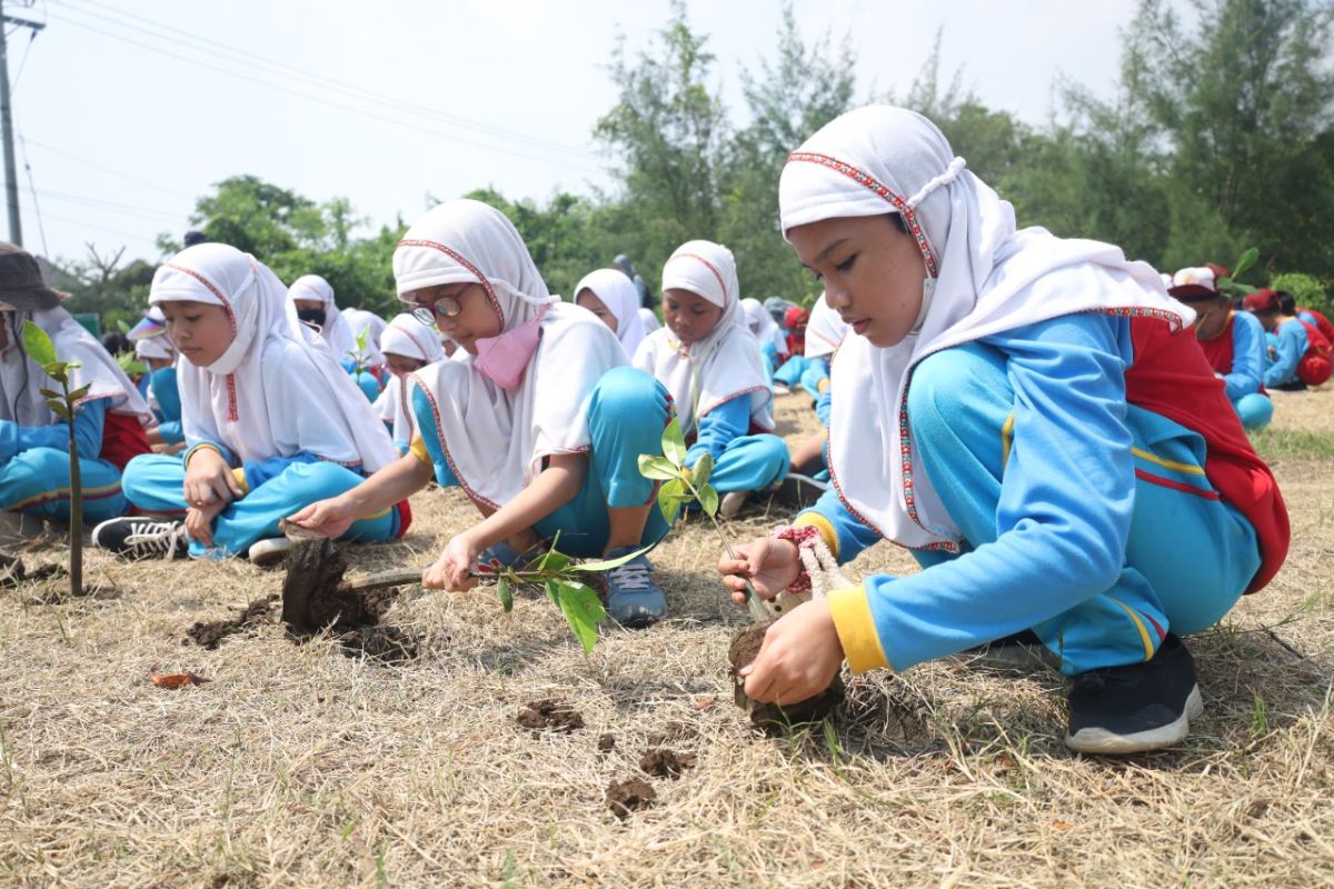 Pelajar Al Muslim tanam mangrove peringati gerakan sejuta pohon