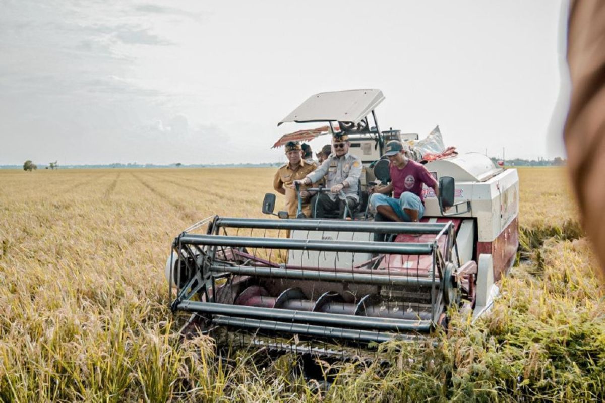 Mentan puas atas produksi padi saat panen di wilayah Karawang