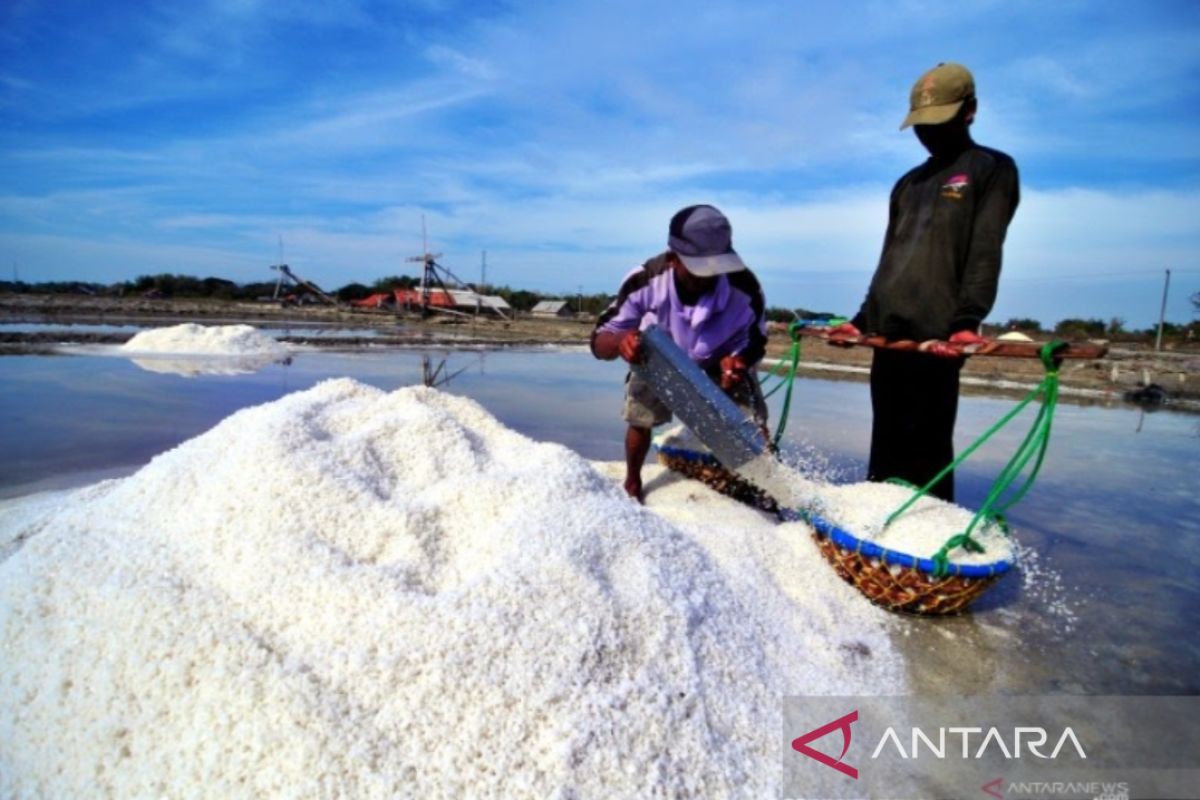 Pemkab Pamekasan bantu petani garam lewat program integrasi pengelolaan tambak