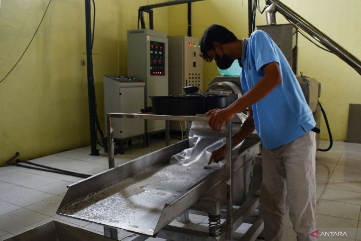 Pabrik beras porang di Kota Madiun siap berproduksi