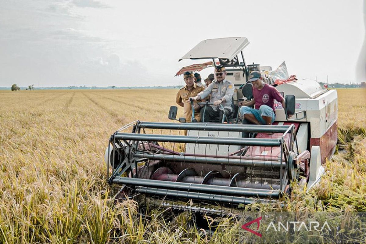 Mentan panen raya padi 8 ton per hektare di Karawang