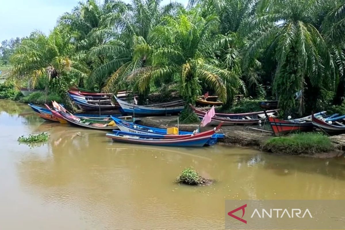 Pemprov Bengkulu anggarkan Rp16,2 miliar untuk pembangunan PPN