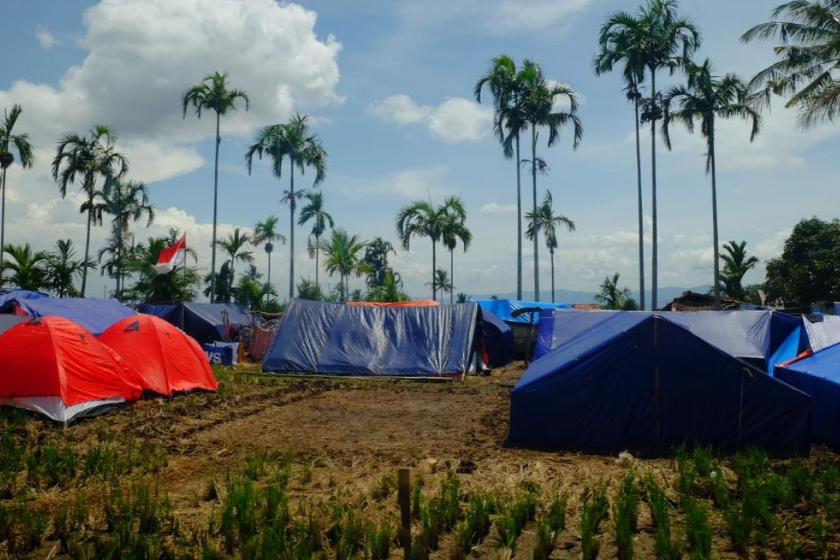 Pupuk Kujang salurkan pupuk subsidi tepat waktu ke Cianjur