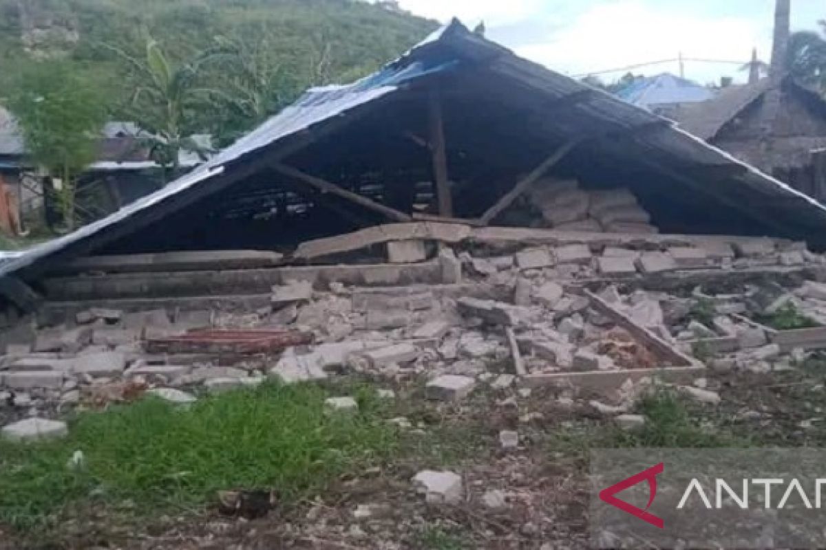 92 houses damaged in 7.5M quake in Tanimbar