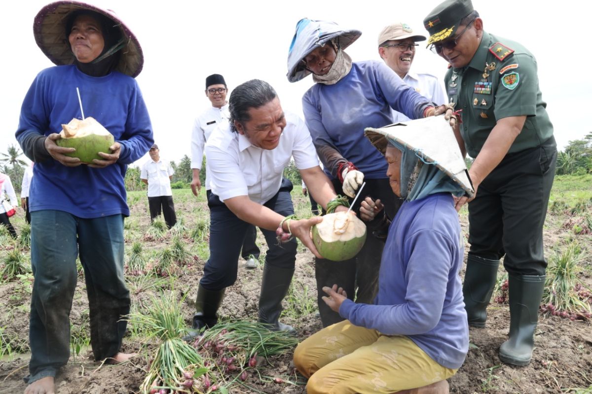 Pj Gubernur Banten dukung petani bawang untuk  tingkatkan produktivitas