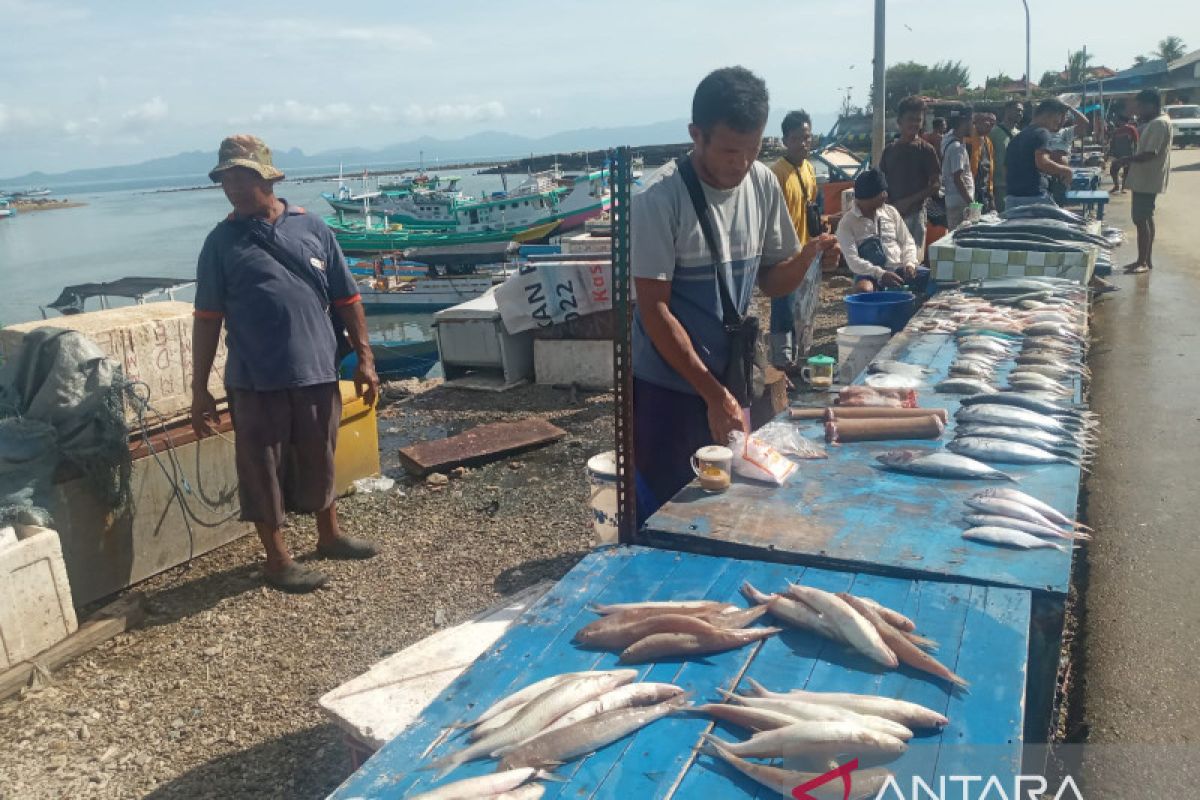 Harga ikan di Kupang naik lebih dari 100 persen
