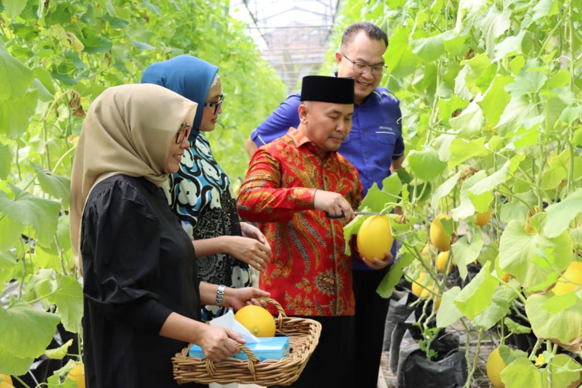Gubernur Kalteng dorong pemuda perkuat pertanian untuk ketahanan pangan