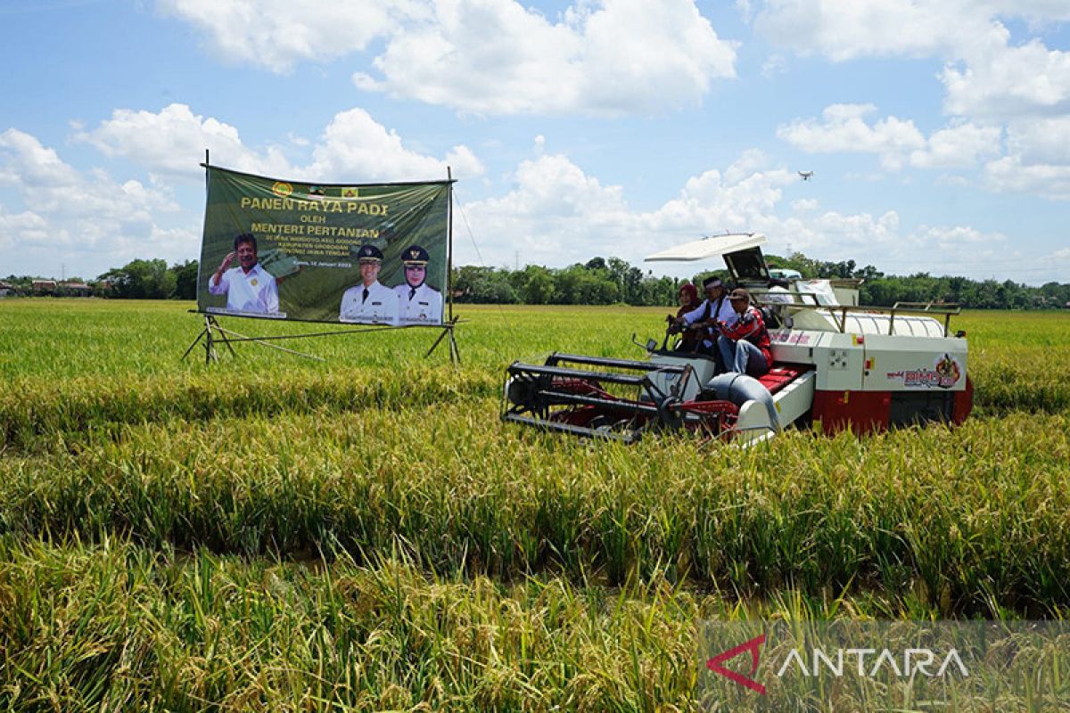 Panen raya padi di Grobogan, Mentan pastikan pasokan melimpah
