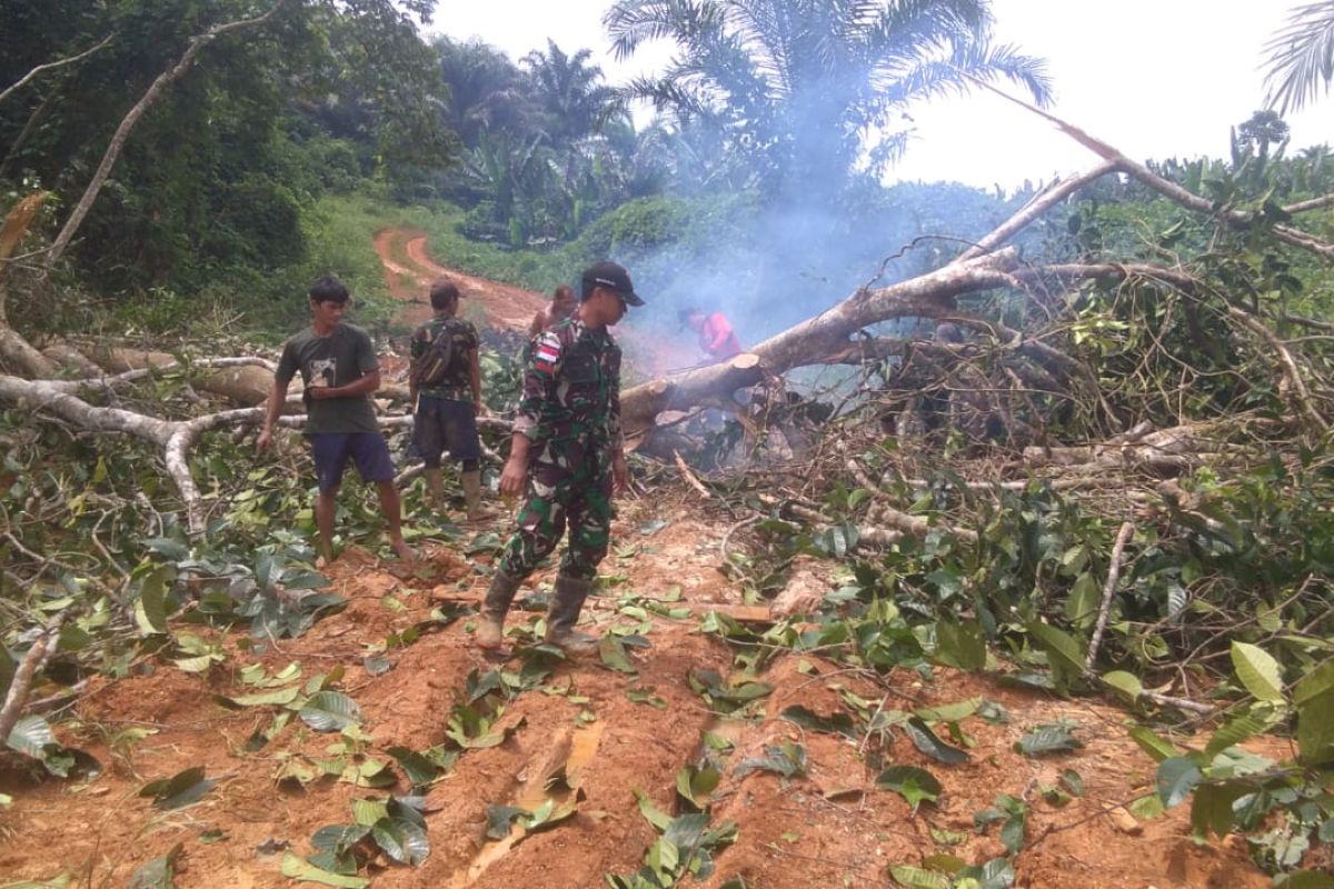 TNI dan warga perbatasan bersihkan pohon tumbang di jalan