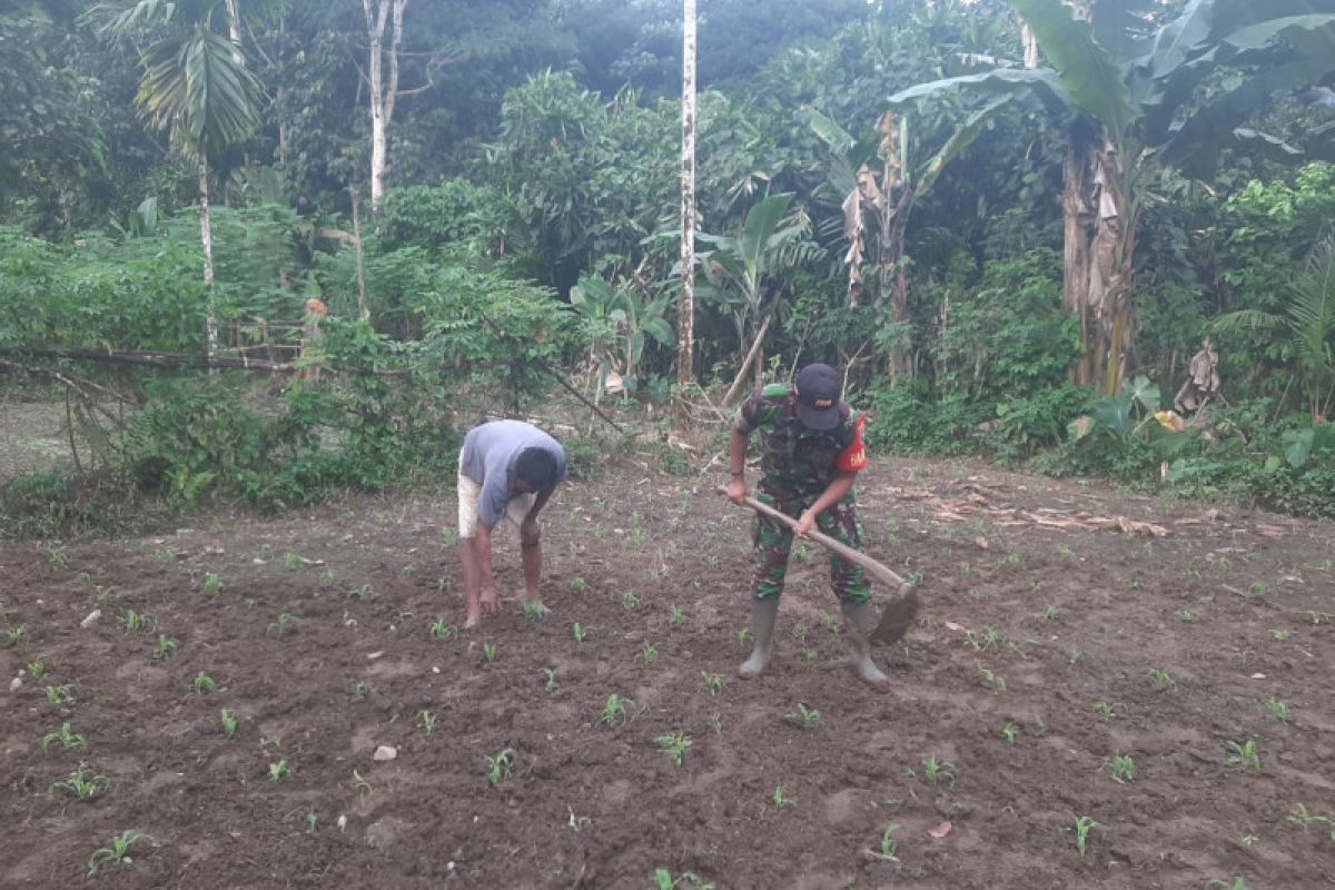 Koramil Supiori Selatan bantu warga Odori bersihkan rumput liar