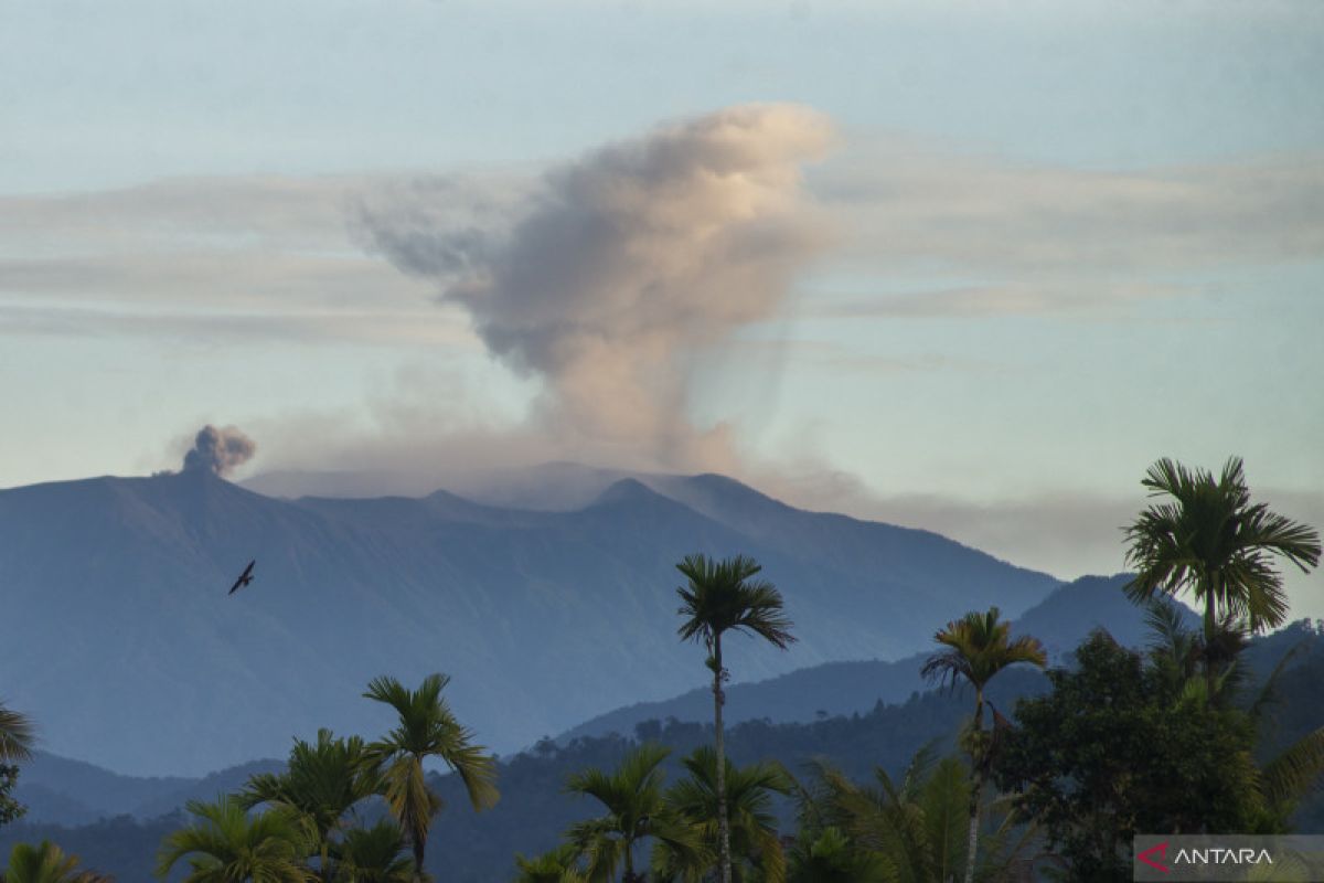 PVMBG catat terjadi 177 kali erupsi Gunung Marapi dalam sepekan
