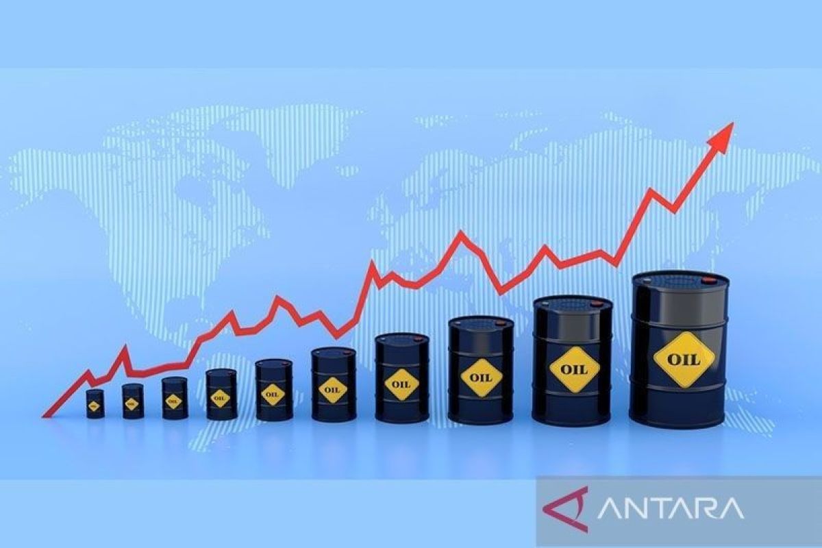 Harga minyak naik di Asia dipicu prospek China, kekhawatiran pasokan Rusia