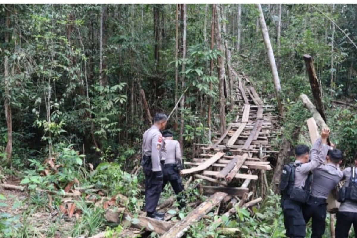 Polisi gencarkan patroli cegah pembalakan hutan lindung di Bengkayang