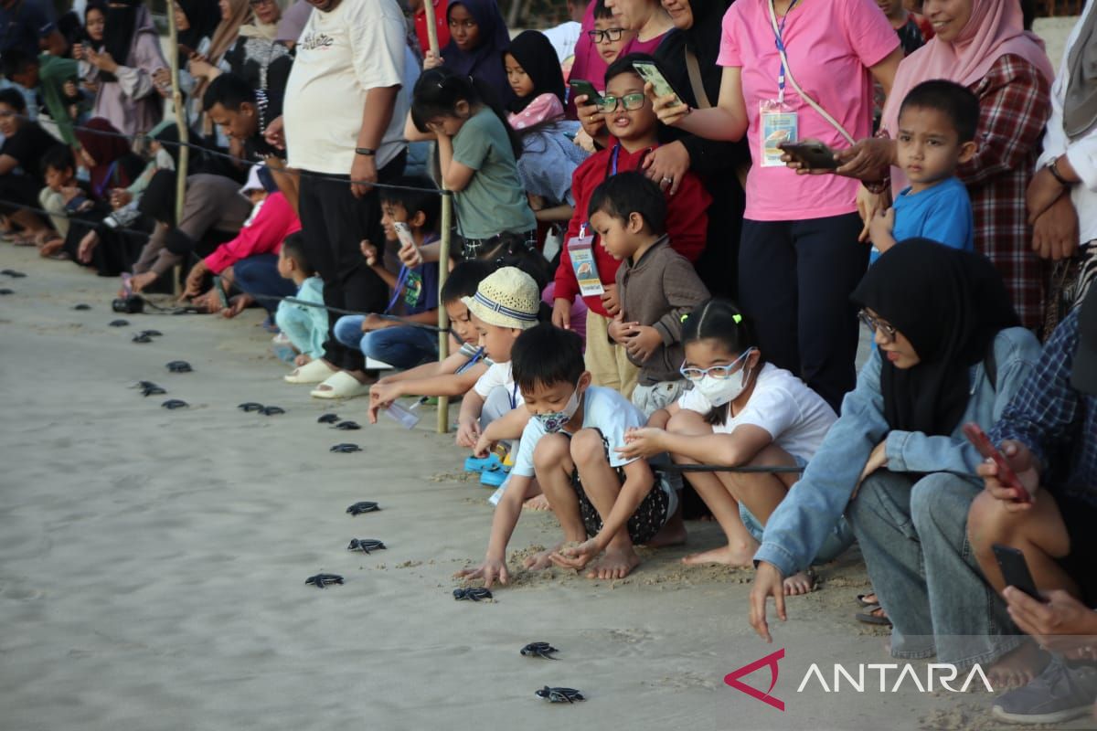 Konservasi penyu lepaskan 34 tukik belimbing ke laut di Aceh Besar