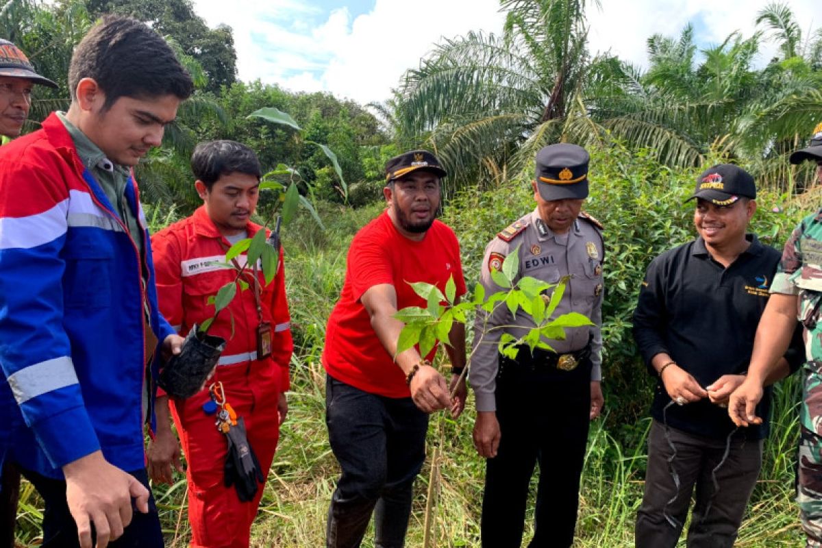 Pertamina Dumai bangun sentra pertanian terpadu