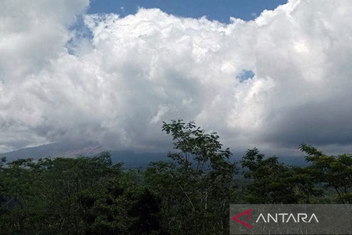 Gunung Semeru erupsi dengan ketinggian asap hingga 1.000 meter