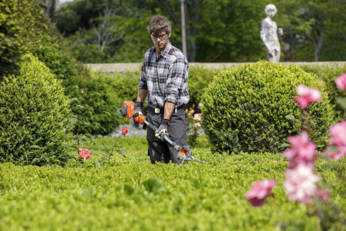 Studi: Berkebun bisa bantu turunkan risiko kanker