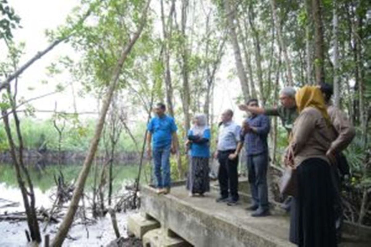 Unri kembangkan ekowisata mangrove di Kampus Dumai
