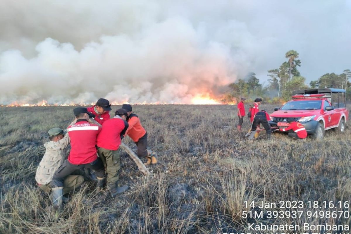 Kawasan savana Taman Nasional RAW di Sultra terbakar