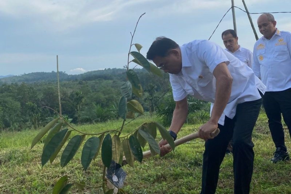 KSP Moeldoko sebut durian Indonesia bisa jadi komoditas unggul di pasar dunia
