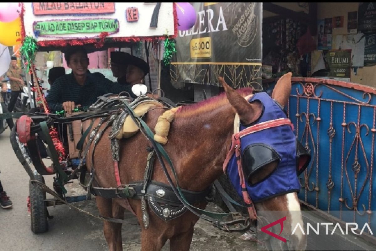 Pemkab Sukabumi dan Baldatun Center berupaya lestarikan delman