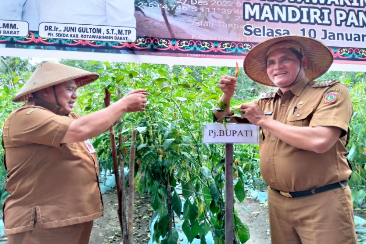 Masyarakat Kobar didorong optimalkan lahan pekarangan untuk ketahanan pangan