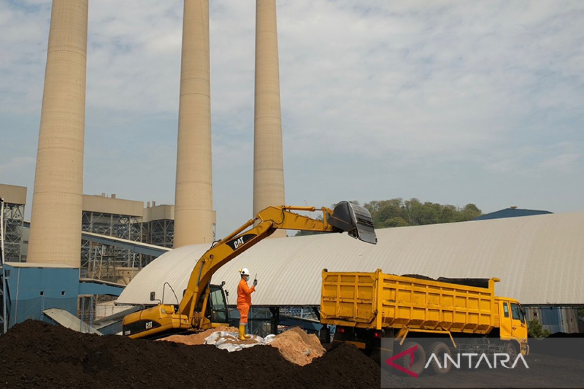 PLN perkuat rantai pasok biomassa sebagai pengganti batu bara